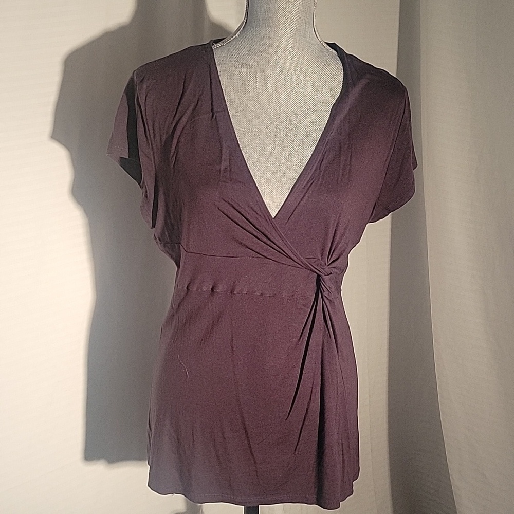 Ann Taylor Womens Plum & Red V-Neck Short Sleeve Blouses, Size: XL, Lot of 2